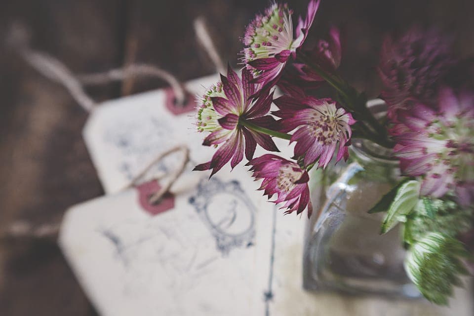 Bunga astrantia dalam botol kaca di samping catatan sketsa